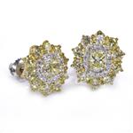 2.35ct TDW. Canary Diamond Stud Earrings in 18kt Gold