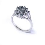 Forever Diamonds Blue Diamond Cluster Ring in 14kt White Gold