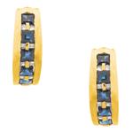 Blue Sapphire Diamond Earrings in 14kt Gold