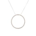 Circle of Life Diamond Pendant in 14kt White Gold