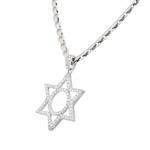 Circle of Life in Star of David Diamond Pendant in 14kt White Gold