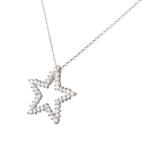 Diamond Star Pendant in 14kt White Gold