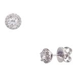 Halo Diamond Stud Earrings in 14kt White Gold