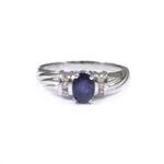 Forever Diamonds Blue Sapphire Accent Diamond Ring in 14kt White Gold
