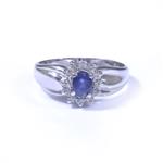 0.25ct TDW. Diamond and Sapphire Ring in 14kt White Gold 