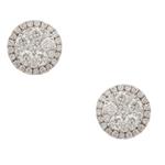 Round Diamond Cluster Stud Earrings in 14kt White Gold