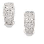 Round Diamond Earrings in 18kt White Gold