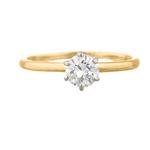 Round Diamond Solitaire Engagement Ring in 14kt Gold