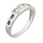 Sapphire and Diamond Claddaph Ring in 10kt White Gold