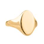 Forever Diamonds Signet Ring in 14kt Gold