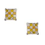 Forever Diamonds White and Yellow Diamond Stud Earrings in 14kt White Gold